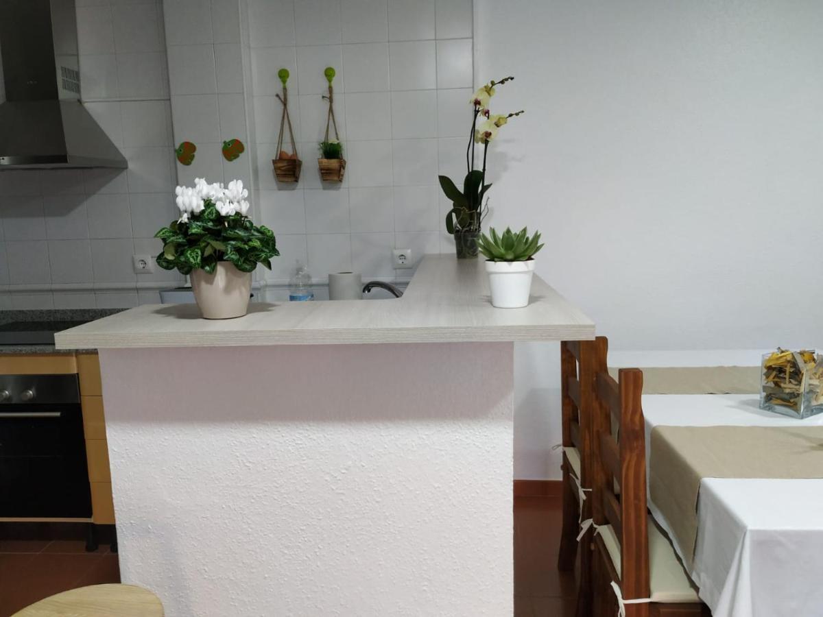 Apartamento Vista Mar La Tortuga タリファ エクステリア 写真